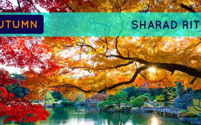 Get Super tips For the Coming Autumn / Sharad Ritu